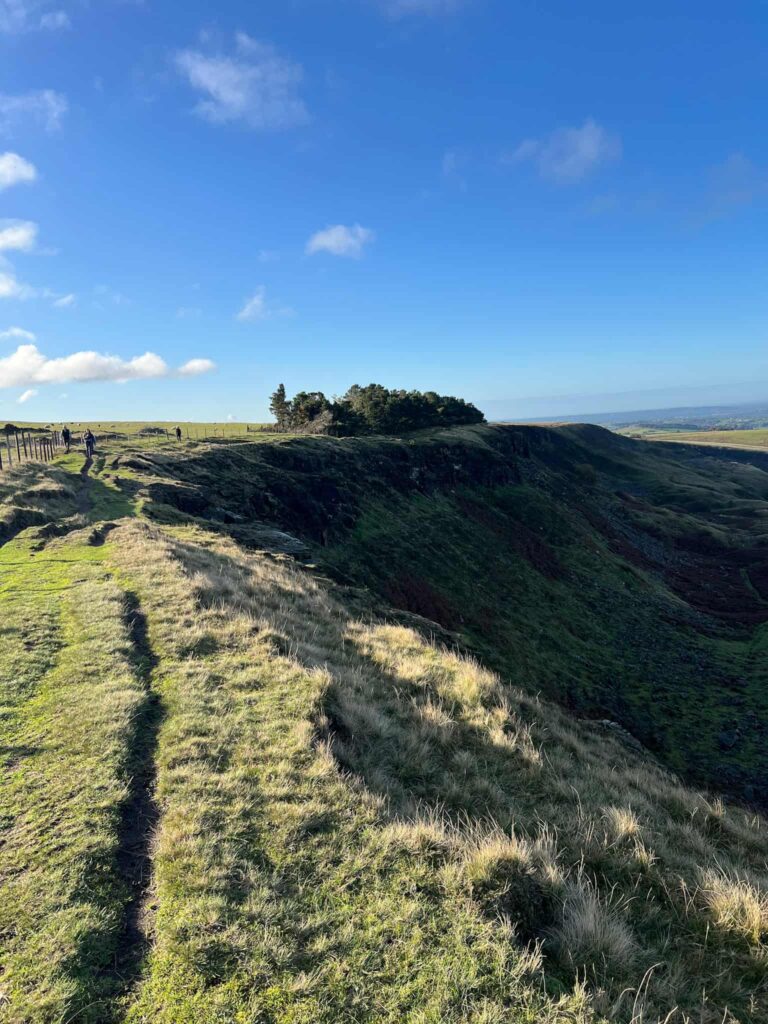 Cown Edge