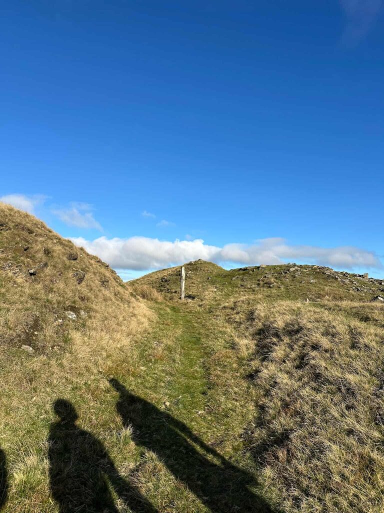 Path through an old grassy quarry