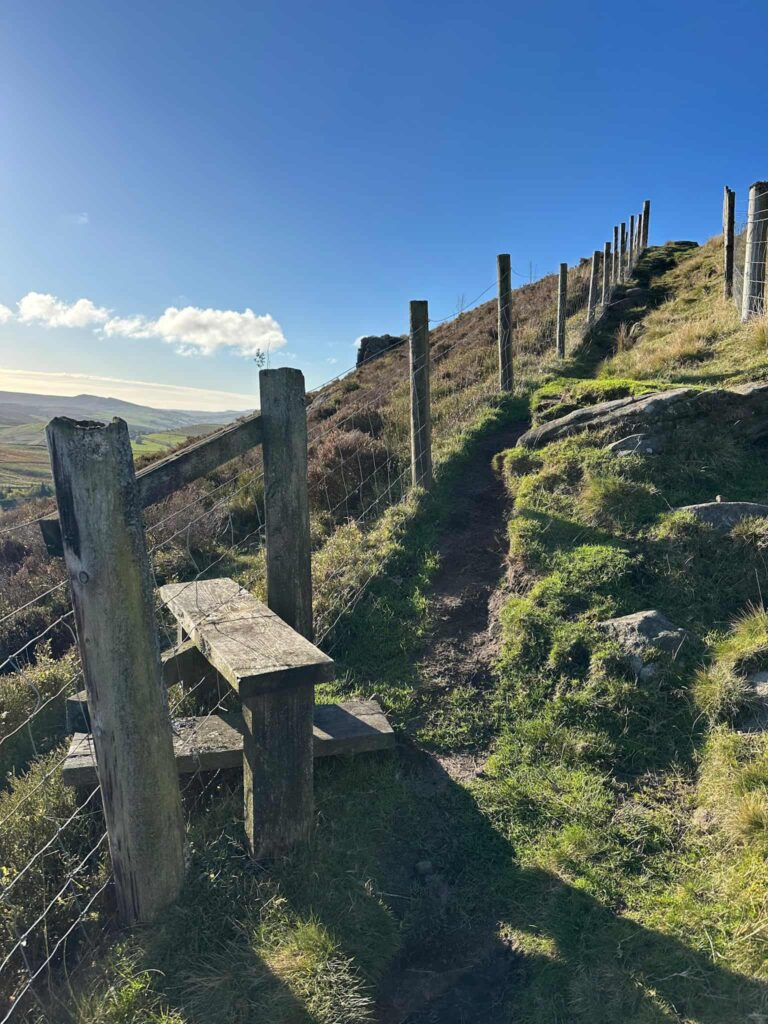 Wooden stile in a fence